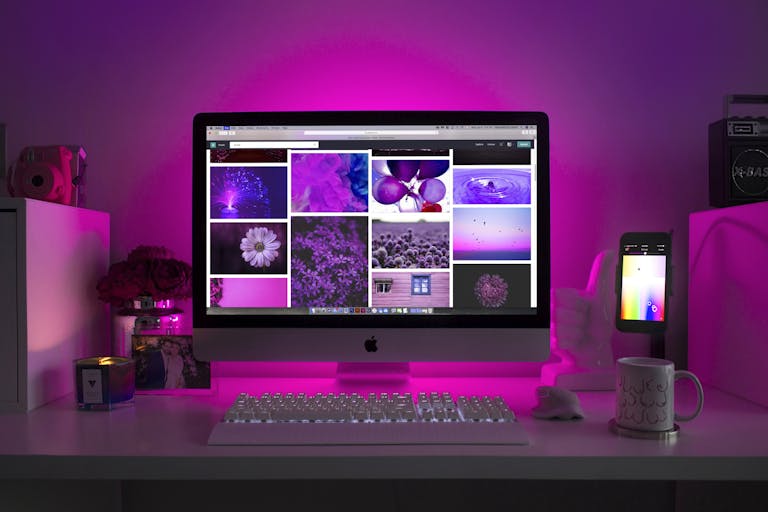 profesyonel web sitesi fiyatı